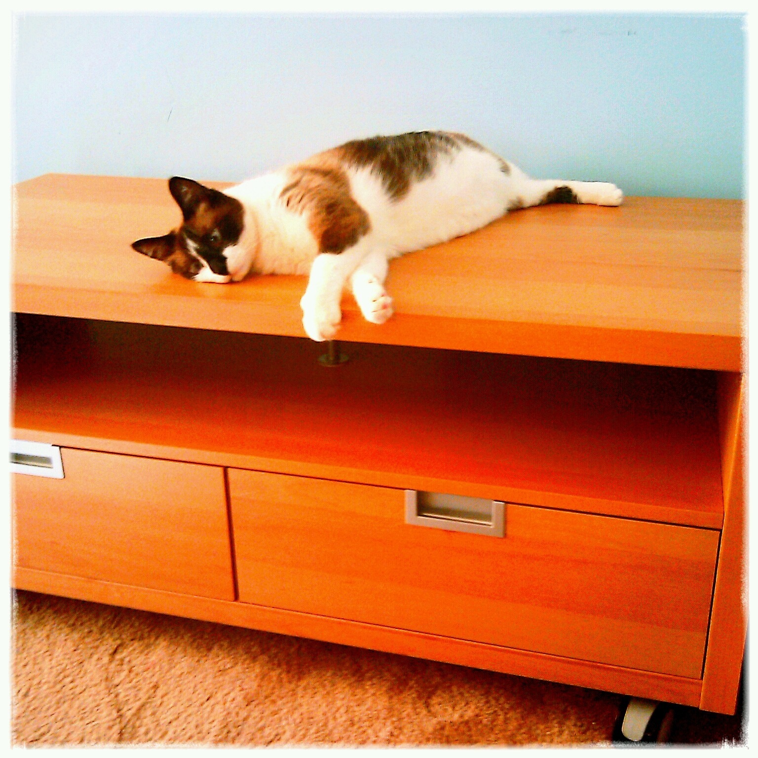 Ellipses Holds Down The Besta Jagra The One Piece Of Furniture I